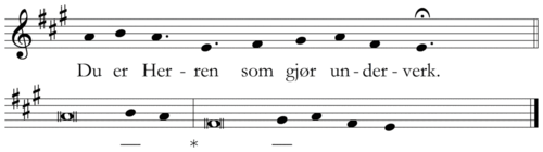 Du er Herren som gjør underverk